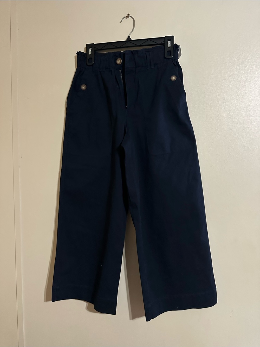 Democracy Navy Wide-Leg High-Rise Pants